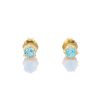 Petit Comité | Oorknopjes Geboortesteen Maart Aquamarijn Goud | cadeau dames | Nu te koop bij 14Karaats.nl | 10001087-Earrings/Body-piercing Jewellery
