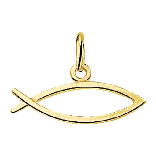 The Jewelry Collection | The Jewelry Collection Hanger Ichtus - Goud | Nu te koop bij 14Karaats.nl | 10001091-Pendants