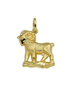 Sense Jewelry | Hanger Sterrenbeeld | Nu te koop bij 14Karaats.nl | 10001091-Pendants