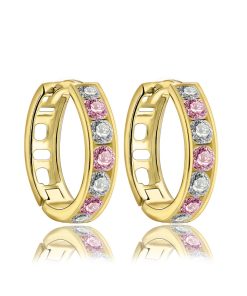 Zwartevalk | Juwelier Zwartevalk - 14 karaat gouden kinder oorbellen met zirkonia 12.111.066/13 mm-- | Nu te koop bij 14Karaats.nl | 10001087-Earrings/Body-piercing Jewellery