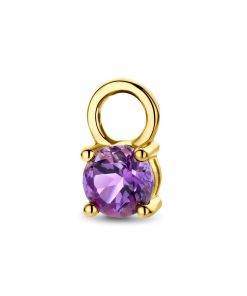 Its-Beautiful | oorringhanger amethist per stuk | Nu te koop bij 14Karaats.nl | 10001091-Pendants