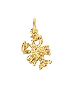 Its-Beautiful | Hanger Sterrenbeeld 14K Geelgoud | Nu te koop bij 14Karaats.nl | 10001091-Pendants