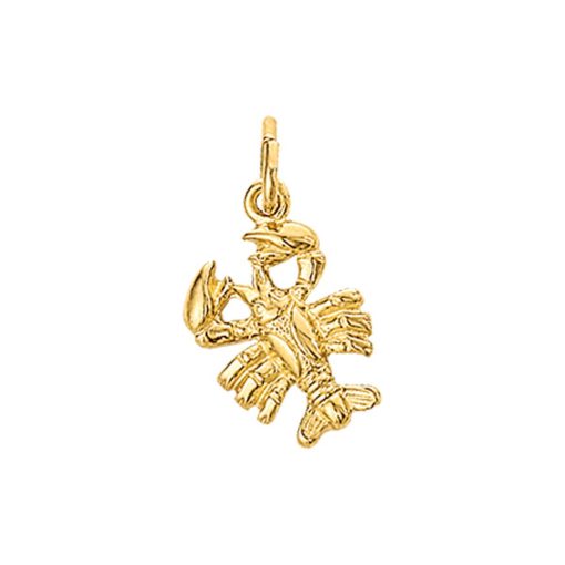 Its-Beautiful | Hanger Sterrenbeeld 14K Geelgoud | Nu te koop bij 14Karaats.nl | 10001091-Pendants