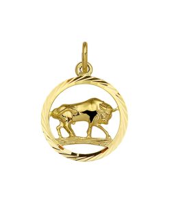 Sense Jewelry | Hanger Sterrenbeeld Gediamanteerd | Nu te koop bij 14Karaats.nl | 10001091-Pendants