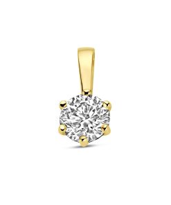 Kasius | 14K geelgoud hanger zirkonia 4032525 | Nu te koop bij 14Karaats.nl | 10001091-Pendants