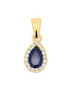 Zwartevalk | Juwelier Zwartevalk 14 karaat gouden druppel hanger - 14.300-B | Nu te koop bij 14Karaats.nl | 10001091-Pendants