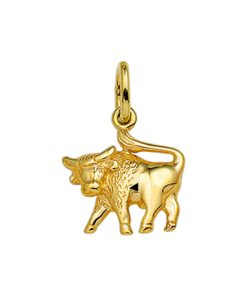 Its-Beautiful | Hanger Sterrenbeeld 14K Geelgoud | Nu te koop bij 14Karaats.nl | 10001091-Pendants