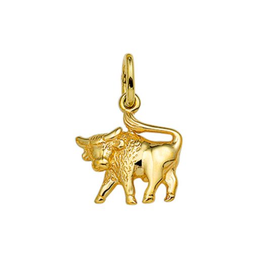 Its-Beautiful | Hanger Sterrenbeeld 14K Geelgoud | Nu te koop bij 14Karaats.nl | 10001091-Pendants