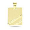 Zwartevalk | Juwelier Zwartevalk 14 karaat gouden plaat hanger - 14.278 | Nu te koop bij 14Karaats.nl | 10001091-Pendants