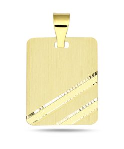 Zwartevalk | Juwelier Zwartevalk 14 karaat gouden plaat hanger - 14.278 | Nu te koop bij 14Karaats.nl | 10001091-Pendants
