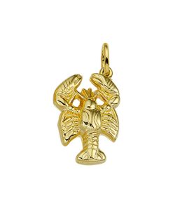 Its-Beautiful | Hanger Sterrenbeeld 14K Geelgoud | Nu te koop bij 14Karaats.nl | 10001091-Pendants