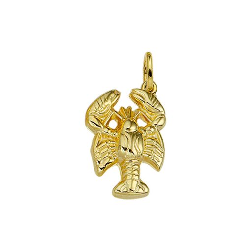 Its-Beautiful | Hanger Sterrenbeeld 14K Geelgoud | Nu te koop bij 14Karaats.nl | 10001091-Pendants