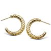 Jwls4u | Jwls4u Oorstekers Snake Silver Gold-plated JE027G | Nu te koop bij 14Karaats.nl | 10001087-Earrings/Body-piercing Jewellery