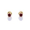 Petit Comité | Oorknopjes Geboortesteen Januari Granaat Goud | cadeau dames | Nu te koop bij 14Karaats.nl | 10001087-Earrings/Body-piercing Jewellery
