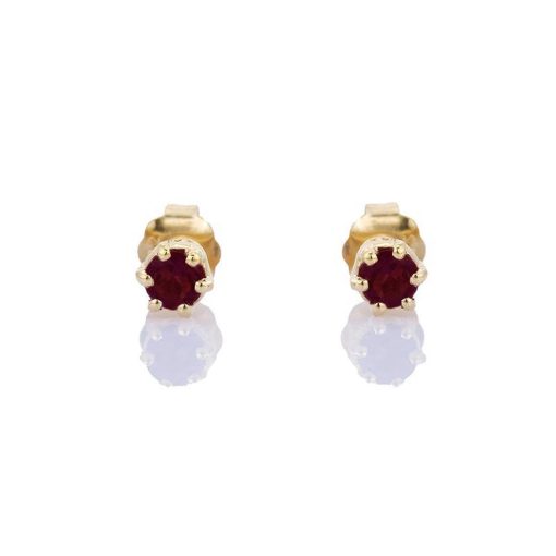 Petit Comité | Oorknopjes Geboortesteen Januari Granaat Goud | cadeau dames | Nu te koop bij 14Karaats.nl | 10001087-Earrings/Body-piercing Jewellery