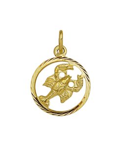 Sense Jewelry | Hanger Sterrenbeeld Gediamanteerd | Nu te koop bij 14Karaats.nl | 10001091-Pendants