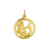 Its-Beautiful | hanger sterrenbeeld waterman gediamanteerd | Nu te koop bij 14Karaats.nl | 10001091-Pendants
