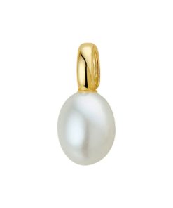 Its-Beautiful | hanger parel 9 x 11 mm | Nu te koop bij 14Karaats.nl | 10001091-Pendants