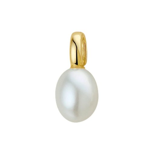 Its-Beautiful | hanger parel 9 x 11 mm | Nu te koop bij 14Karaats.nl | 10001091-Pendants