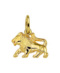 Its-Beautiful | Hanger Sterrenbeeld 14K Geelgoud | Nu te koop bij 14Karaats.nl | 10001091-Pendants