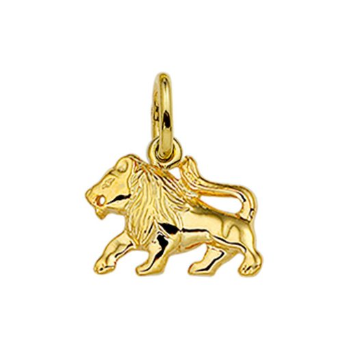 Its-Beautiful | Hanger Sterrenbeeld 14K Geelgoud | Nu te koop bij 14Karaats.nl | 10001091-Pendants