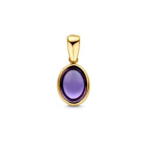 Its-Beautiful | hanger amethist | Nu te koop bij 14Karaats.nl | 10001091-Pendants
