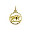 Sense Jewelry | Hanger Sterrenbeeld Gediamanteerd | Nu te koop bij 14Karaats.nl | 10001091-Pendants