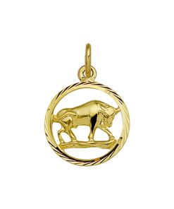 Sense Jewelry | Hanger Sterrenbeeld Gediamanteerd | Nu te koop bij 14Karaats.nl | 10001091-Pendants