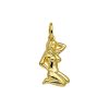 Its-Beautiful | Hanger Sterrenbeeld 14K Geelgoud | Nu te koop bij 14Karaats.nl | 10001091-Pendants