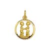 Its-Beautiful | Hanger Sterrenbeeld Gediamanteerd 14K Geelgoud | Nu te koop bij 14Karaats.nl | 10001091-Pendants