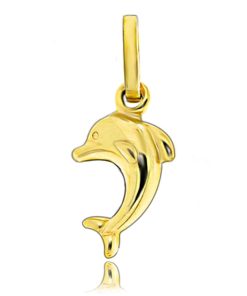 Zwartevalk | Juwelier Zwartevalk 14 karaat gouden dolfijn hanger - 14.102.023 | Nu te koop bij 14Karaats.nl | 10001091-Pendants