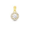 Zwartevalk | Juwelier Zwartevalk 14 karaat gouden hanger met zirkonia - 14.261 | Nu te koop bij 14Karaats.nl | 10001091-Pendants