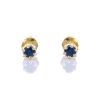 Petit Comité | Oorknopjes Geboortesteen September Saffier Goud | cadeau dames | Nu te koop bij 14Karaats.nl | 10001087-Earrings/Body-piercing Jewellery