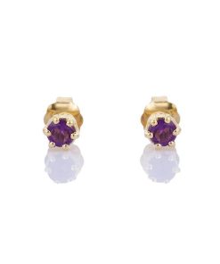 Petit Comité | Oorknopjes Geboortesteen Februari Amethist Goud | cadeau dames | Nu te koop bij 14Karaats.nl | 10001087-Earrings/Body-piercing Jewellery