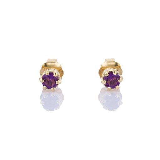 Petit Comité | Oorknopjes Geboortesteen Februari Amethist Goud | cadeau dames | Nu te koop bij 14Karaats.nl | 10001087-Earrings/Body-piercing Jewellery