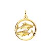Its-Beautiful | Hanger Sterrenbeeld Gediamanteerd 14K Geelgoud | Nu te koop bij 14Karaats.nl | 10001091-Pendants