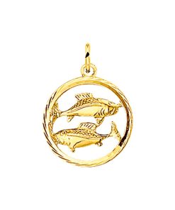 Its-Beautiful | Hanger Sterrenbeeld Gediamanteerd 14K Geelgoud | Nu te koop bij 14Karaats.nl | 10001091-Pendants