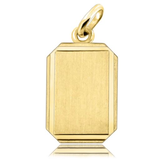 Zwartevalk | Juwelier Zwartevalk 14 karaat gouden plaat hanger - 14.801.098 | Nu te koop bij 14Karaats.nl | 10001091-Pendants