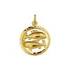 Its-Beautiful | hanger sterrenbeeld vissen gediamanteerd | Nu te koop bij 14Karaats.nl | 10001091-Pendants