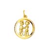 Its-Beautiful | hanger sterrenbeeld tweeling gediamanteerd | Nu te koop bij 14Karaats.nl | 10001091-Pendants
