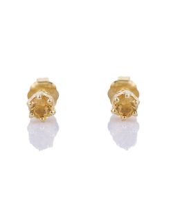 Petit Comité | Oorknopjes Geboortesteen November Citrien Goud | cadeau dames | Nu te koop bij 14Karaats.nl | 10001087-Earrings/Body-piercing Jewellery
