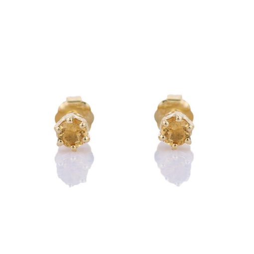 Petit Comité | Oorknopjes Geboortesteen November Citrien Goud | cadeau dames | Nu te koop bij 14Karaats.nl | 10001087-Earrings/Body-piercing Jewellery