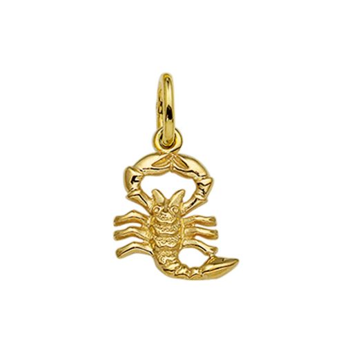 Its-Beautiful | Hanger Sterrenbeeld 14K Geelgoud | Nu te koop bij 14Karaats.nl | 10001091-Pendants
