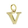 Star juwelier | Goud Hanger Letter V 14 karaats | Nu te koop bij 14Karaats.nl | 10001091-Pendants