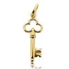 Zwartevalk | Juwelier Zwartevalk 14 karaat gouden sleutel hanger - 14.102.142 | Nu te koop bij 14Karaats.nl | 10001091-Pendants