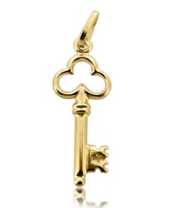 Zwartevalk | Juwelier Zwartevalk 14 karaat gouden sleutel hanger - 14.102.142 | Nu te koop bij 14Karaats.nl | 10001091-Pendants