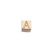 Isabel Bernard | Isabel Bernard - La Concorde Felie - IB350047 - Dames - Bedel | Nu te koop bij 14Karaats.nl | 10001091-Pendants