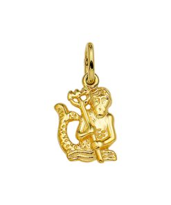 Its-Beautiful | Hanger Sterrenbeeld 14K Geelgoud | Nu te koop bij 14Karaats.nl | 10001091-Pendants