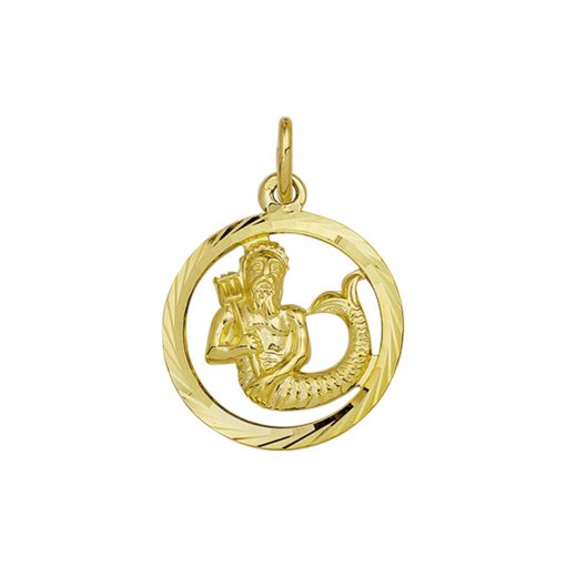 Sense Jewelry | Hanger Sterrenbeeld Gediamanteerd | Nu te koop bij 14Karaats.nl | 10001091-Pendants