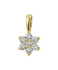 The Jewelry Collection | The Jewelry Collection Hanger Ster Diamant 0.14ct H Si - Geelgoud | Nu te koop bij 14Karaats.nl | 10001091-Pendants